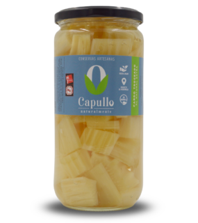 Verduras Cardo de la Ribera de Navarra al natural Frasco 720 ml scaled